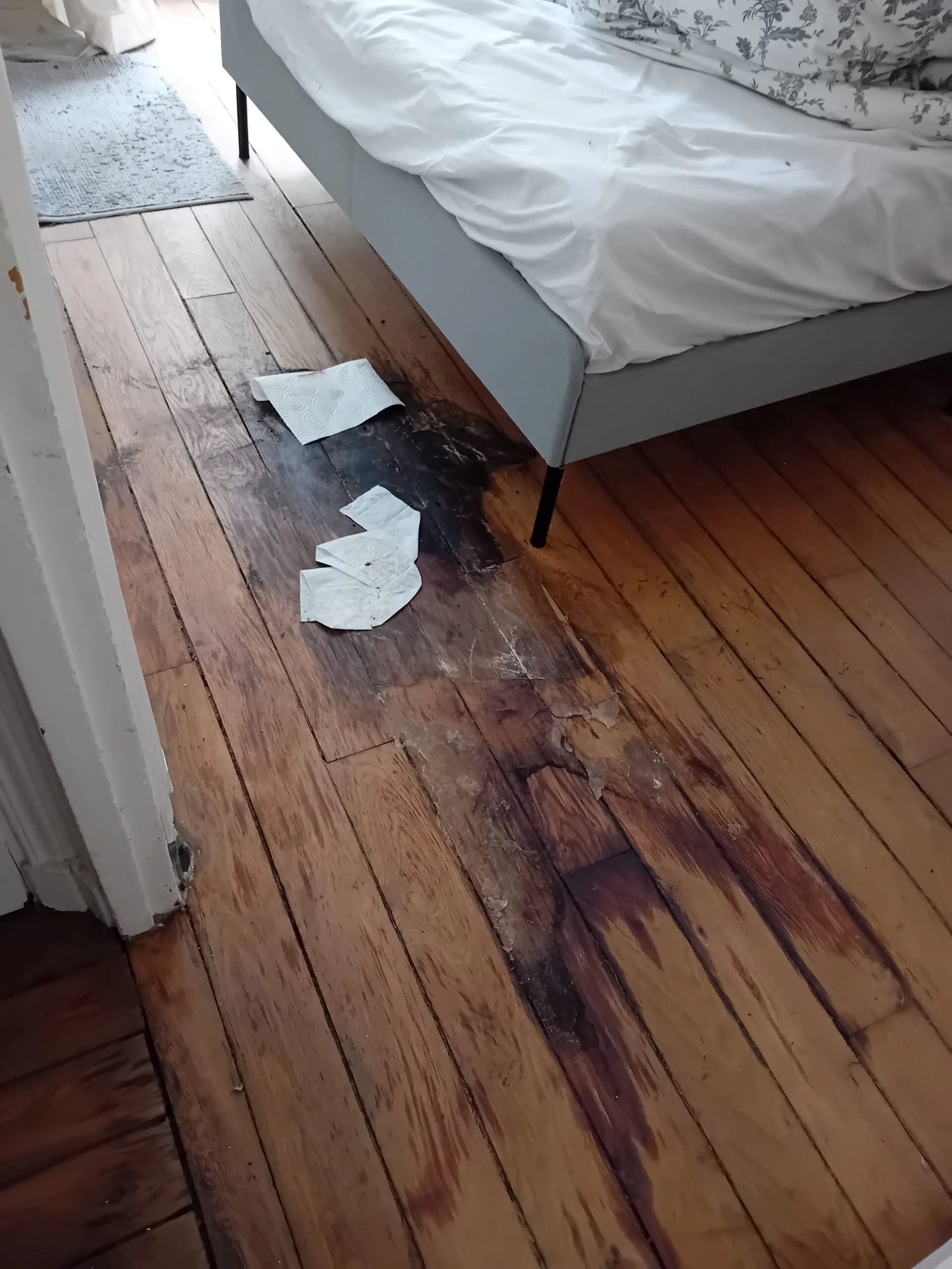 Quelles odeurs sont les plus difficiles à supprimer dans un logement insalubre : focus sur Drancy et ses environs avec SOS DC Quelles odeurs sont les plus difficiles à supprimer dans un logement insalubre : focus sur Drancy et ses environs avec SOS DC