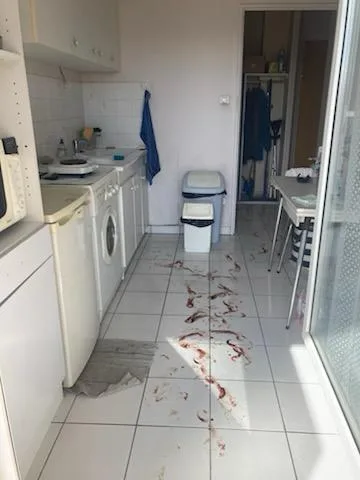 Comment utiliser des photos avant/après sans heurter les futurs clients sensibles ?L’approche responsable de SOS DC à Drancy et dans les villes environnantes Comment utiliser des photos avant/après sans heurter les futurs clients sensibles ?L’approche responsable de SOS DC à Drancy et dans les villes environnantes